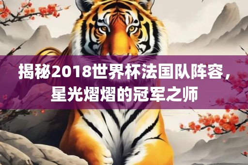 揭秘2018世界杯法国队阵容，星光熠熠的冠军之师