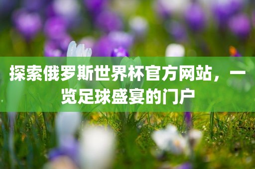 探索俄罗斯世界杯官方网站，一览足球盛宴的门户