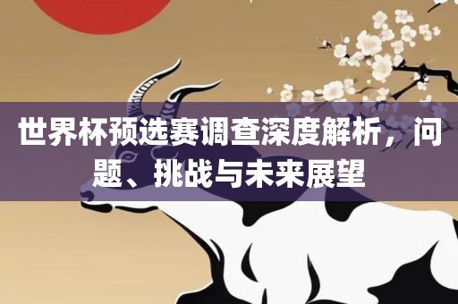 世界杯预选赛调查深度解析，问题、挑战与未来展望