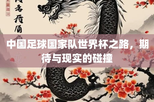 中国足球国家队世界杯之路，期待与现实的碰撞