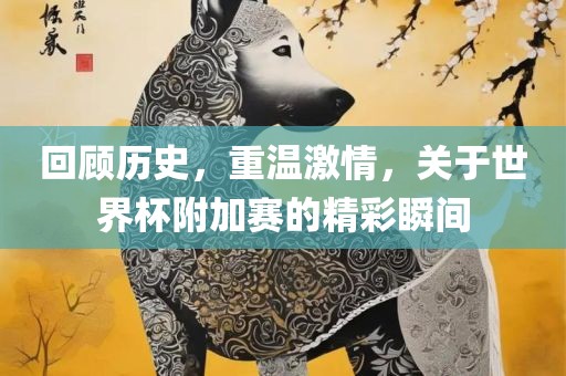 回顾历史，重温激情，关于世界杯附眉山市正发家政服务有限公司加赛的精彩瞬间
