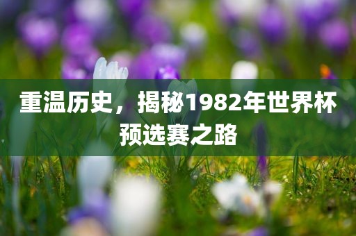 重温历史，揭秘1982年世界杯预选赛之路