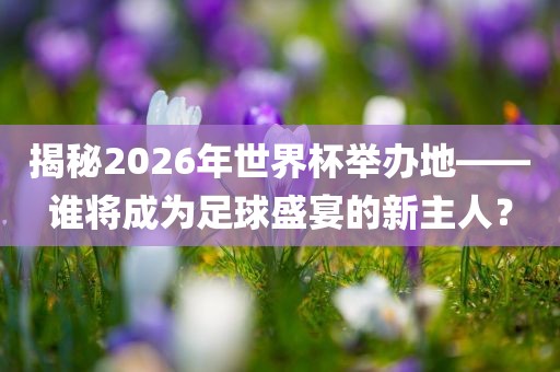 揭秘2026年世界杯举办地——谁将成为足球盛宴的新主人眉山市正发家政服务有限公司？