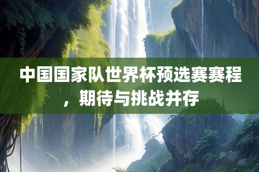 中国国家队世界杯预选赛赛程，期待与挑战并存