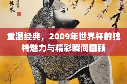 重温经典，2009年世界杯的独特魅力与精彩瞬间回顾眉山市正发家政服务有限公司