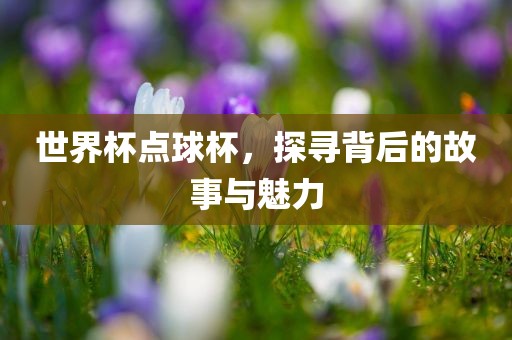 世界杯点球杯，探寻背后的故事与魅力