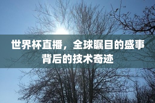 世界杯直播，全球瞩目的盛事背后的技术奇迹