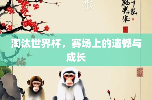 淘汰世界杯，赛场上的遗憾与成长