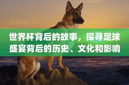世界杯背后的故事，探寻足球盛宴背后的历史、文化和影响