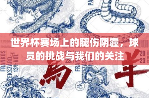 世界杯赛场上的腿伤阴霾，球员的挑战与我们的关注