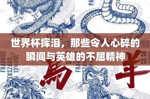 世界杯挥泪，那些令人心碎的瞬间与英雄的不屈精神