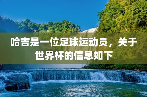 哈吉是一位足球运动员，关于世界杯的信息如下