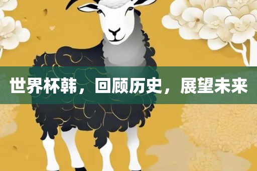 世界杯韩，回顾历史，展望未来
