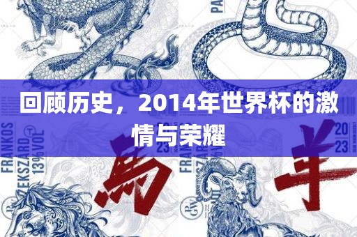 回顾历史，2014年世界杯的激情与荣耀