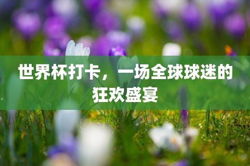 世界杯打卡，一场全球球迷的狂欢盛宴