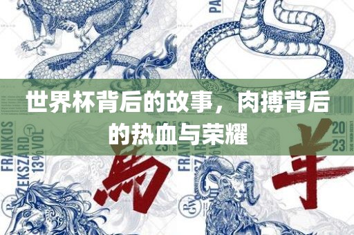 世界杯背后的故事，肉搏背后的热血与荣耀