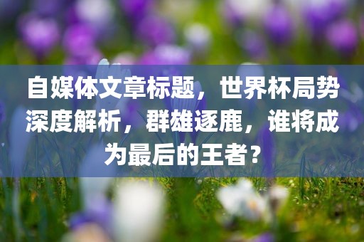 自媒体文章标题，世界杯局势深度解析，群雄逐鹿，谁将成为最后的王者？
