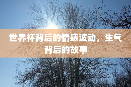 世界杯背后的情感波动，生气背后的故事
