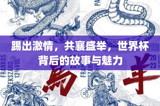 踢出激情，共襄盛举，世界杯背后的故事与魅力