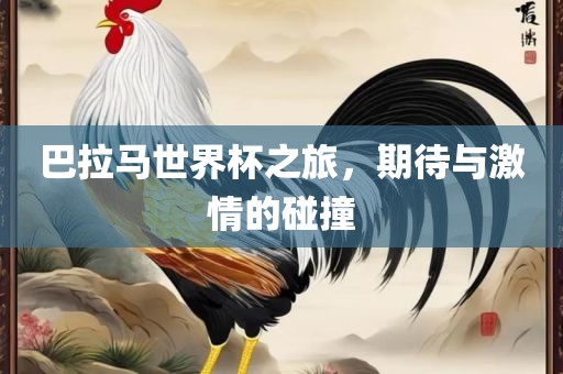 巴拉马世界杯之旅，期待与激情的碰撞