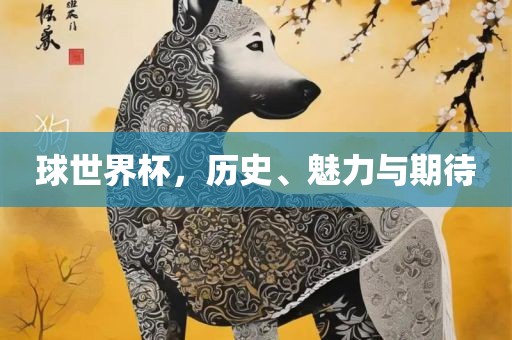 球世界杯，历史、魅力与期待