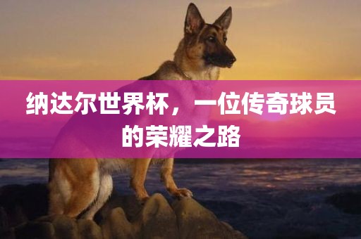 纳达尔世界杯，一位传奇球员的荣耀之路
