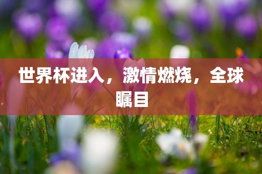 世界杯进入，激情燃烧，全球瞩目