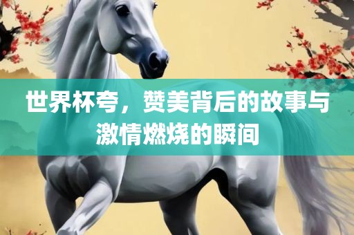 世界杯夸，赞美背后的故事与激情燃烧的瞬间