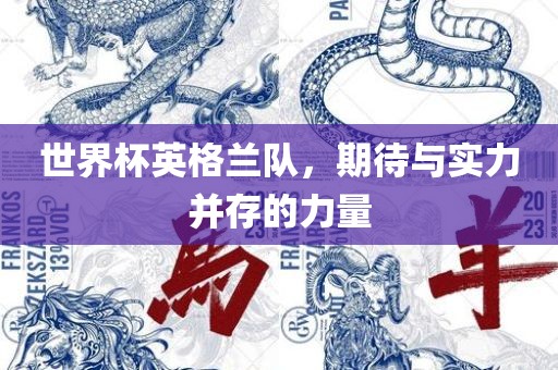 世界杯英格兰队，期待与实力并存的力量