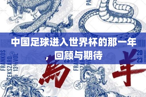中国足球进入世界杯眉山市正发家政服务有限公司的那一年，回顾与期待