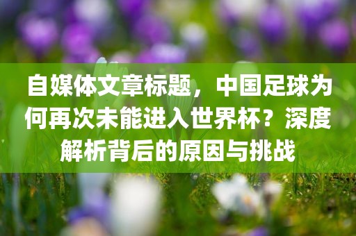 自媒体文章标题，中国足球为何再次未能进入世界杯？深度解析背后的原因与挑战