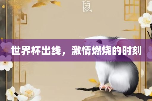 世界杯出线，激情燃烧的时刻