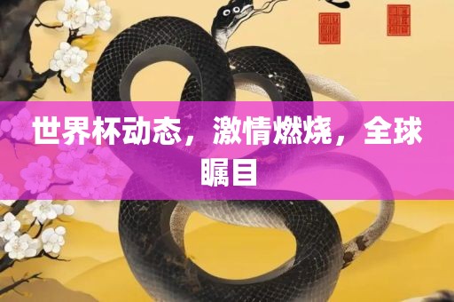 世界杯动态，激情燃烧，全球瞩目