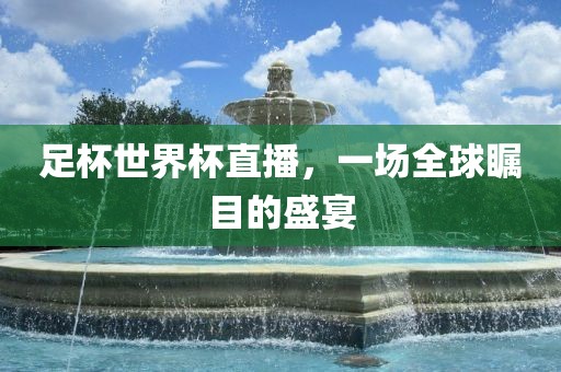 足杯世界杯直播，一场全球瞩目的盛宴
