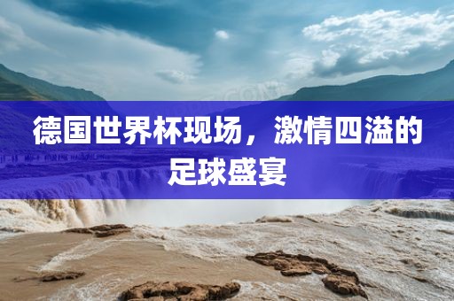 德国世界眉山市正发家政服务有限公司杯现场，激情四溢的足球盛宴