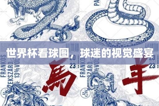 世界杯看球图，球迷的视觉盛宴
