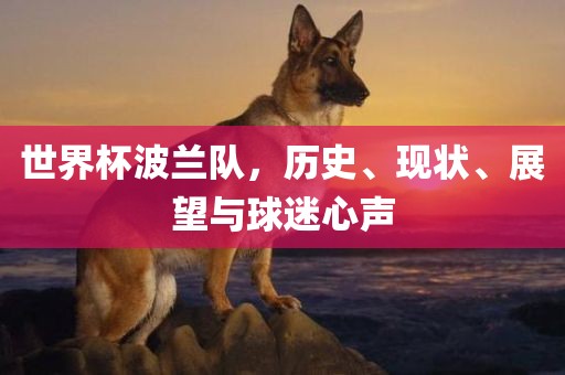 世界杯波兰队，历史、现状、展望与球迷心声