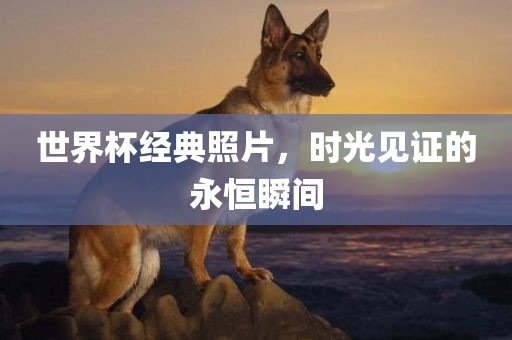 世界杯经典照片，时光见证的永恒瞬间