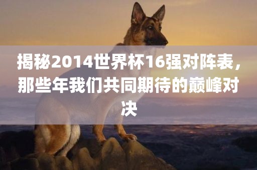 揭秘2014世界杯16强对阵表，那些年我们共同期待的巅峰对决