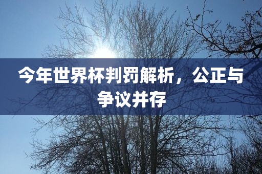 今年世界杯判罚解析，公正与争议并存