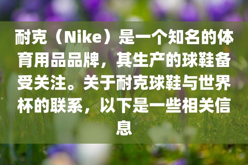 耐克（Nike）是一个知名的体育用品品牌，其生产的球鞋备受关注。关于耐克球鞋与世界杯的联系，以下是一些相关信息