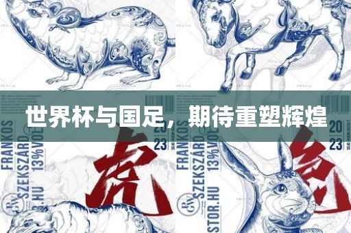 世界杯与国足，期待重塑辉煌
