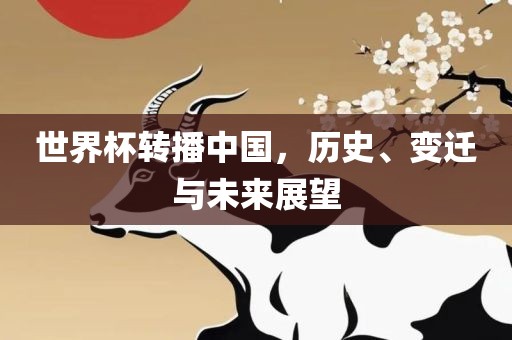 世界杯转播中国，历史、变迁与未来展望