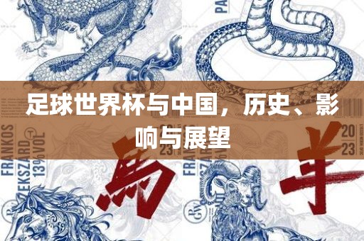 足球世界杯与中国，历史、影响与展望眉山市正发家政服务有限公司