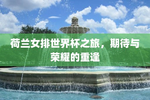 荷兰女排世界杯之旅，期待与荣耀的重逢