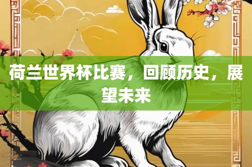 荷兰世界杯比赛，回顾历史，展望未来