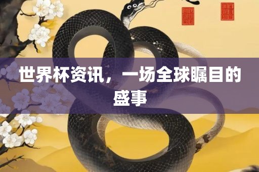 世界杯资讯，一场全球瞩目的盛事