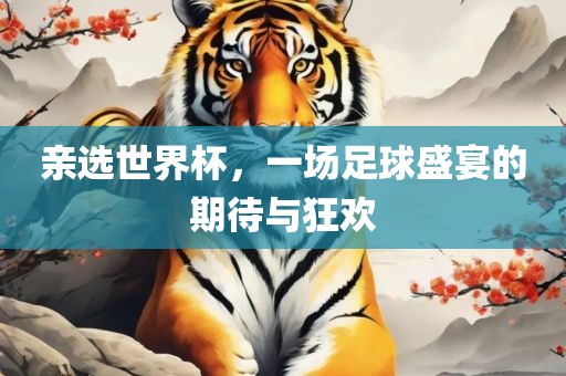 亲选世界杯，一场足球盛宴的期待与狂欢