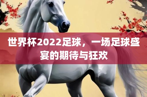 世界杯2022足球，一场足球盛宴的期待与狂欢