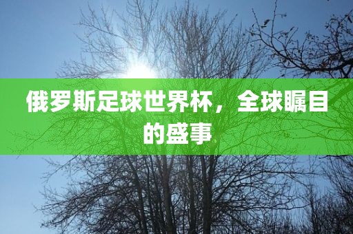 俄罗斯足球世界杯，全球瞩目的盛事眉山市正发家政服务有限公司